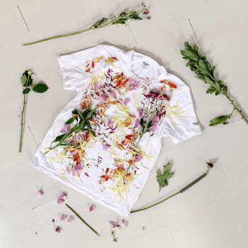 anna-sullivan-pFhkBHJCuIw-unsplash